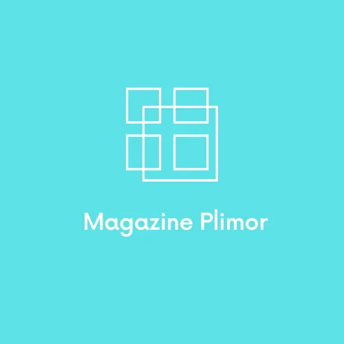 Imagem do grupo Magazine Plimor